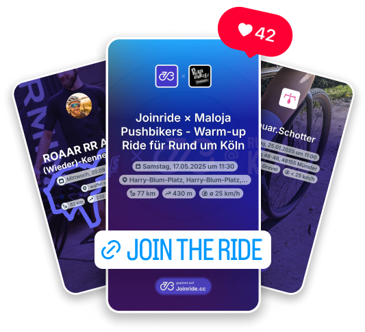 Darstellung verschiedener Instagram Story Templates von Joinride